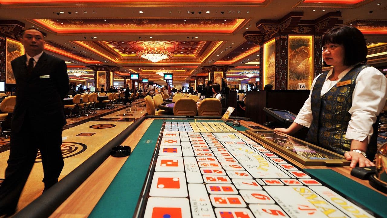 Canadian Online Casino Beginner Guide